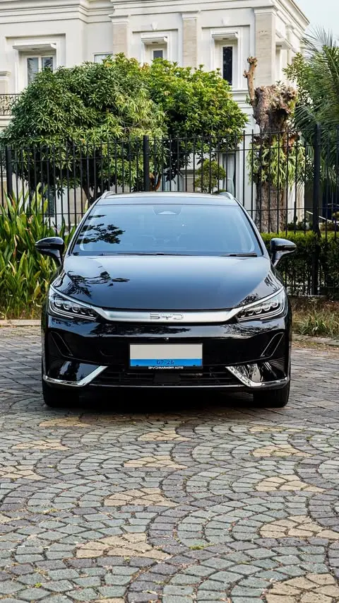 BYD M6